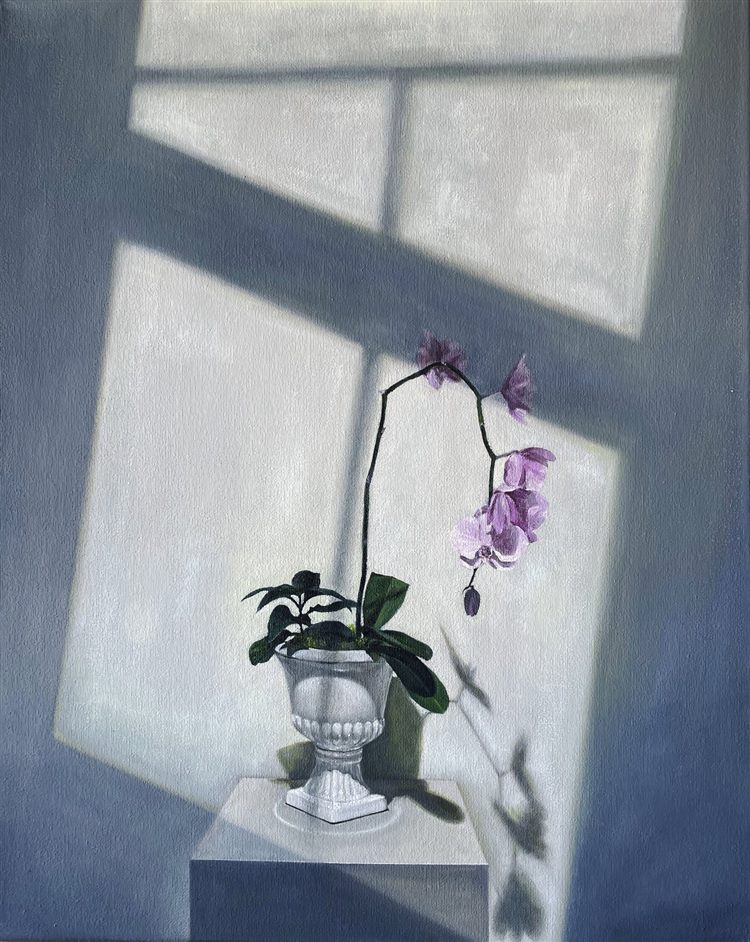 Held in Light, 2024, oil on canvas, 16 × 20 in.