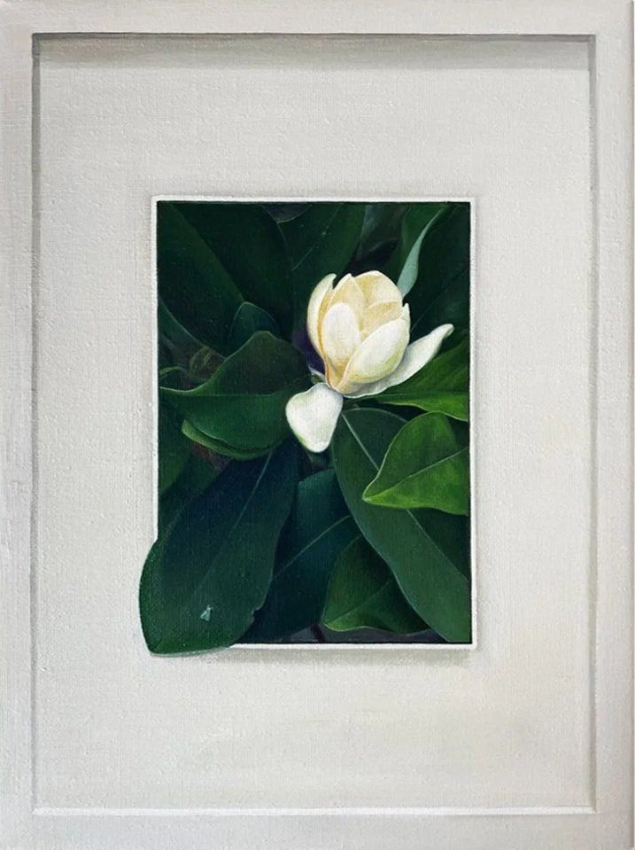 Magnolia, 2026, oil on linen, 9 × 12 in.